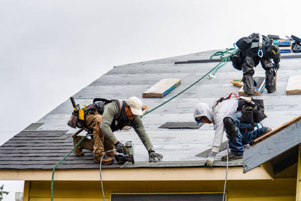 Professional Roofing technician working in Skandia, MI